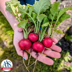Roxanne Radish